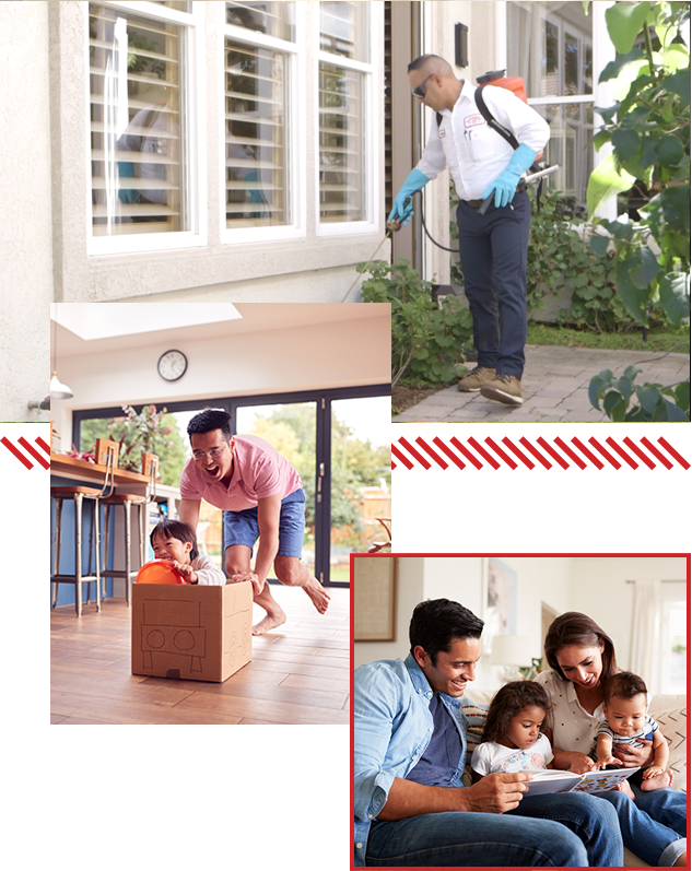 local pest control company near me photo