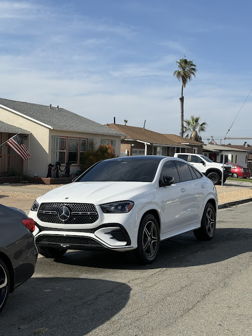 professional car detailer Eastlake