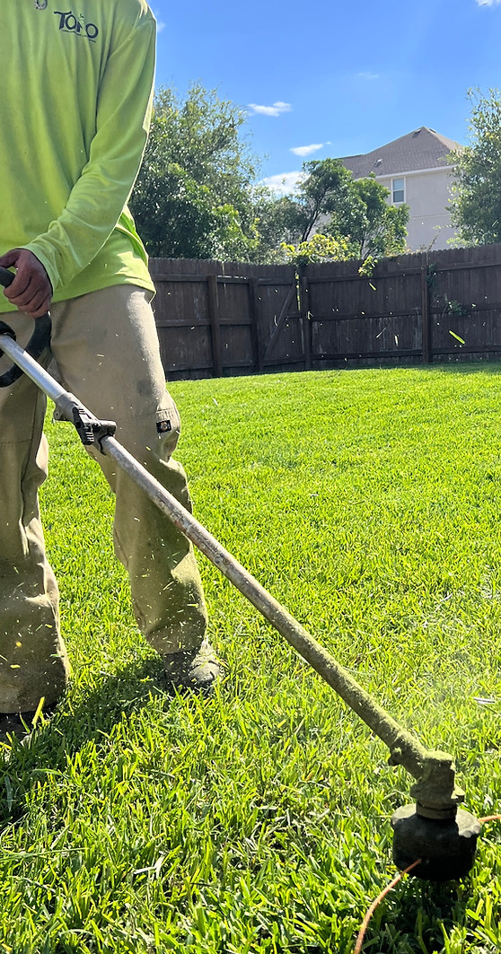 Toro Lawn Care & Landscaping photo