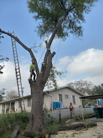 lawn maintenance San Antonio