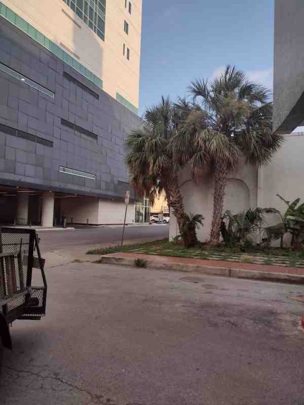 lawn maintenance San Antonio photo