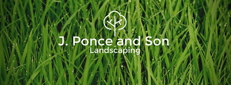 San Antonio landscapers photo