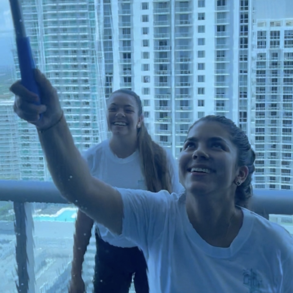 professional window cleaning near me photo