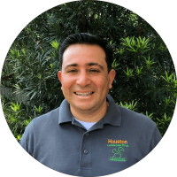 best landscaping company in Houston