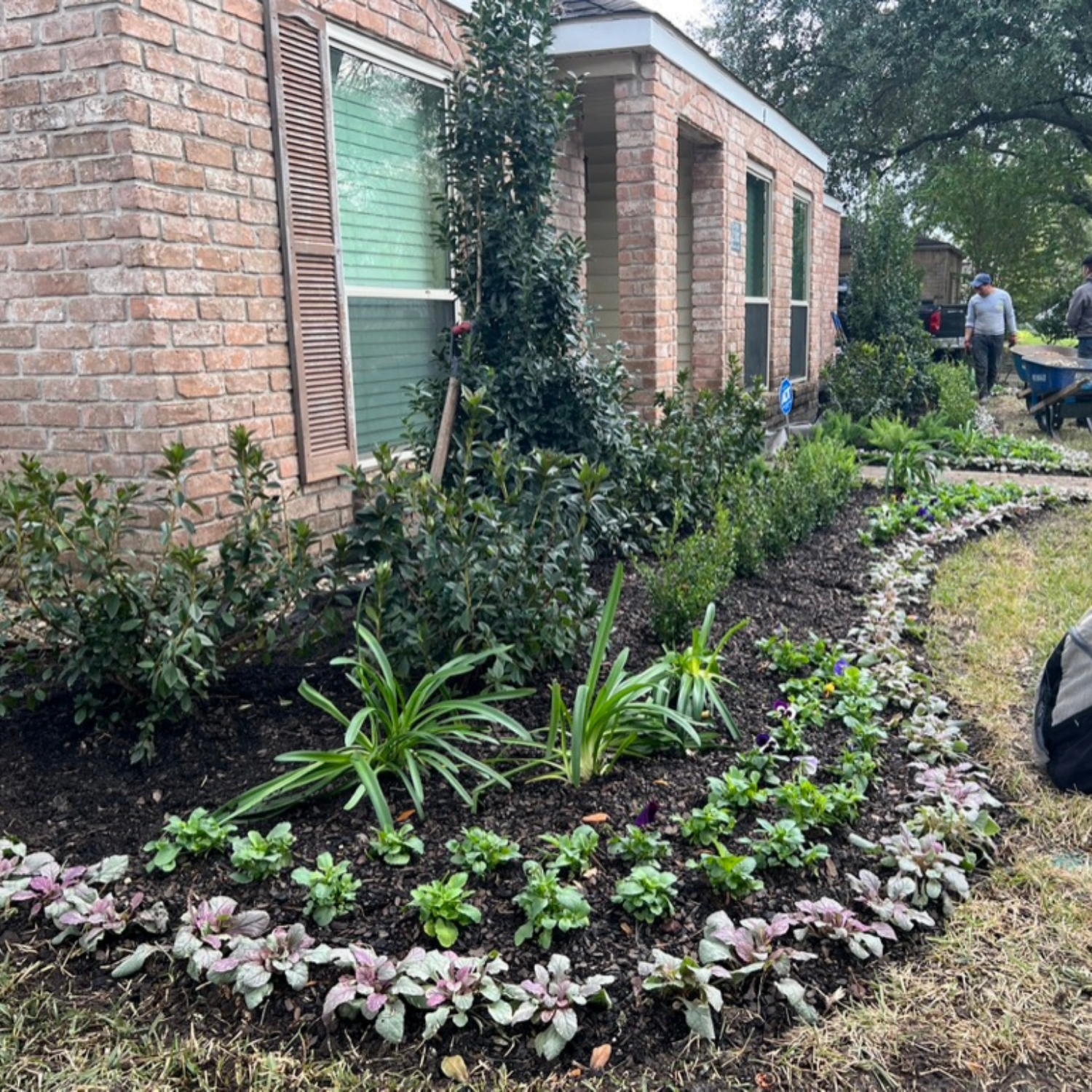 best landscaping company in Houston photo