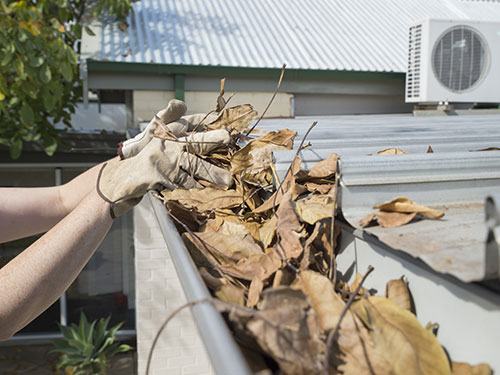 moss removal roof cleaning Miami photo