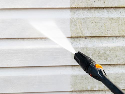 moss removal roof cleaning Miami photo