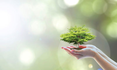 Aroma Earth Cleaning photo