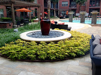 Core Landscape Group photo