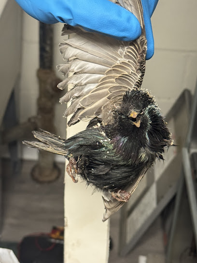 HVAC repair in Baltimore photo