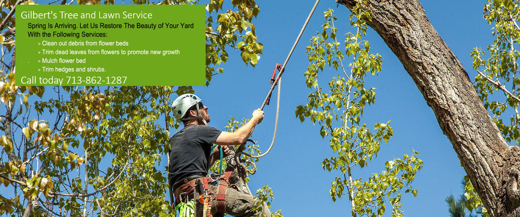 licensed and insured tree service Houston Heights photo