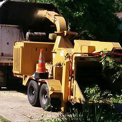 lawn maintenance service Houston photo