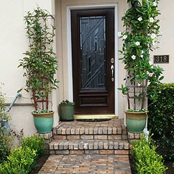 lawn maintenance service Houston photo