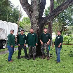 lawn maintenance service Houston photo