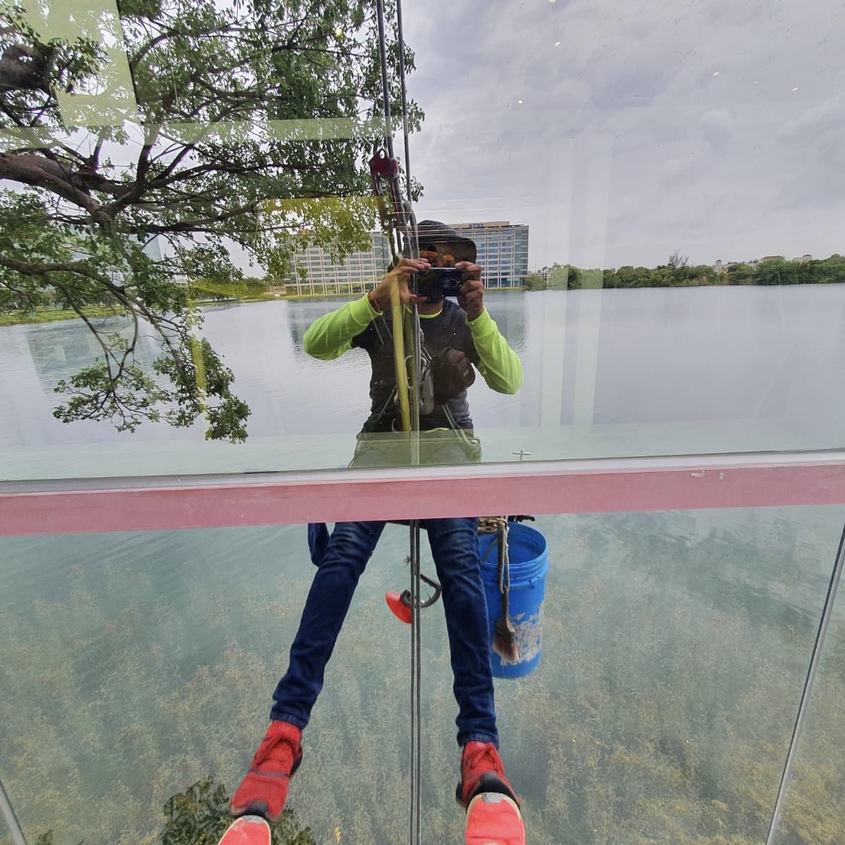 mold and algae removal in Miami photo