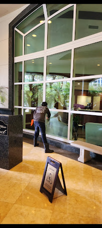 mold and algae removal in Miami photo