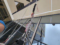 mold and algae removal in Miami photo