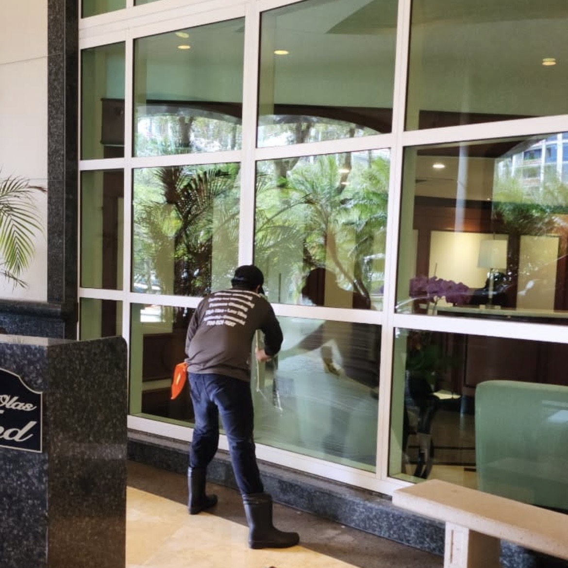 mold and algae removal in Miami photo