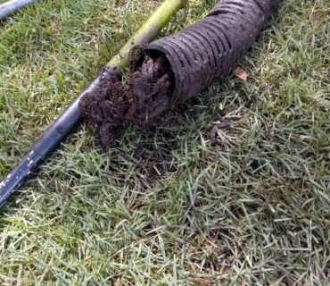affordable gutter cleaning Tampa photo