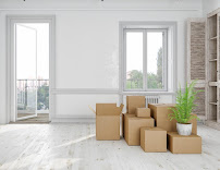 bi-weekly cleaning Tampa photo