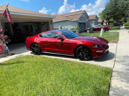 Tampa Auto Stylist photo
