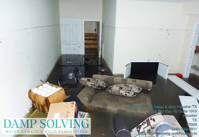 residential mold remediation Houston
