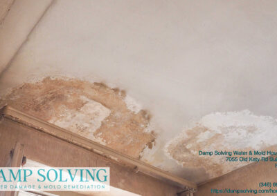 residential mold remediation Houston photo