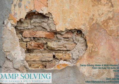 residential mold remediation Houston photo