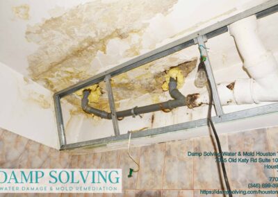 residential mold remediation Houston photo