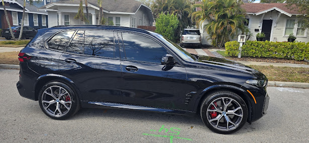 mobile detailing packages Tampa photo