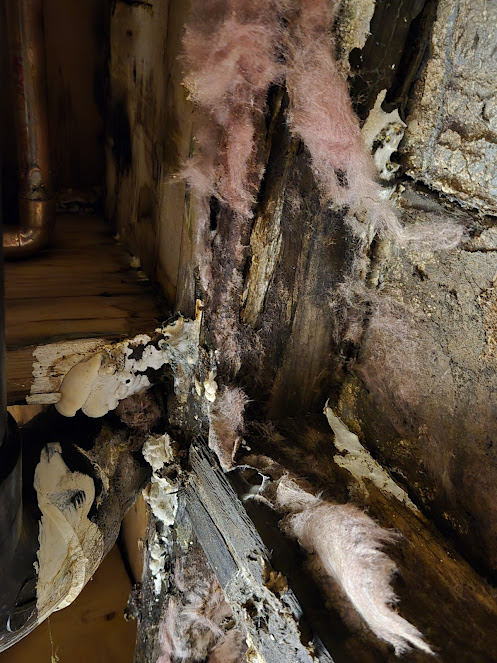 Restoration 1 of Central Denver photo