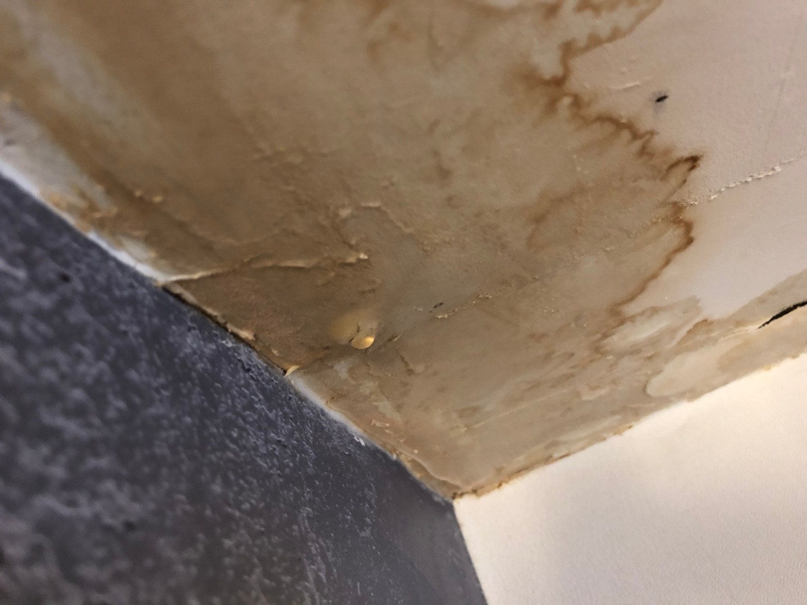 fire and smoke restoration Denver photo