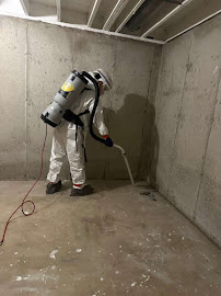 mold remediation company Denver