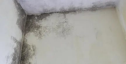 emergency water cleanup Denver photo