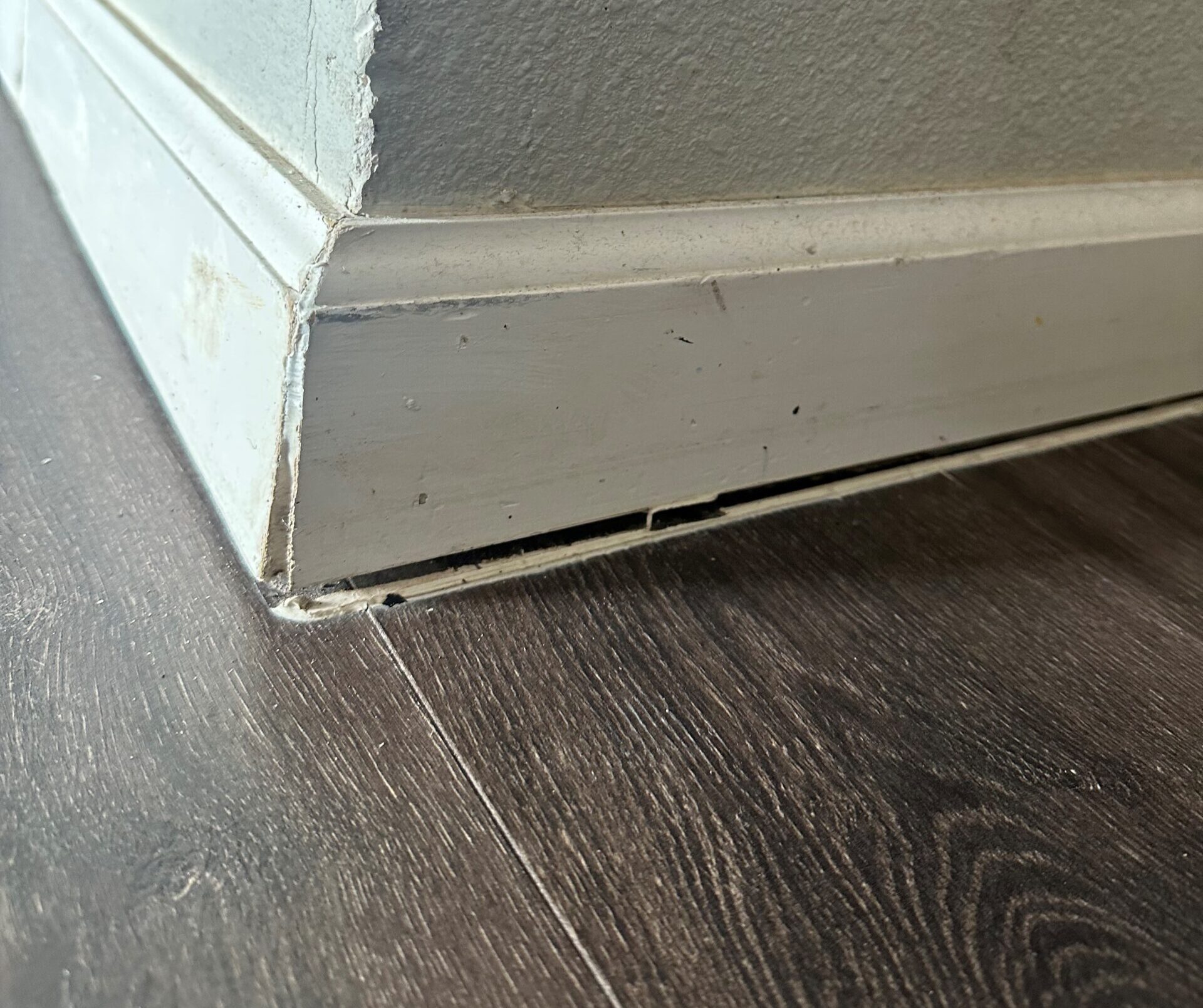 foundation inspection services San Antonio photo