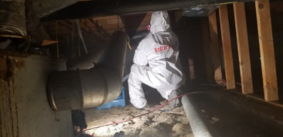 commercial water damage restoration near me photo