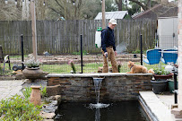 Naturalcare Pest Control photo