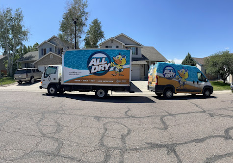 professional leak detection Denver photo