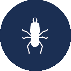 HomeTeam Pest Defense photo