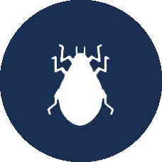 mosquito control San Antonio photo