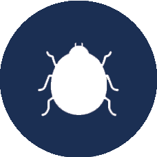 HomeTeam Pest Defense photo