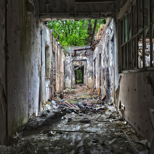 emergency mold remediation in Denver photo