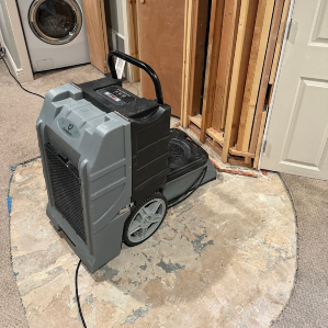 emergency mold remediation in Denver photo