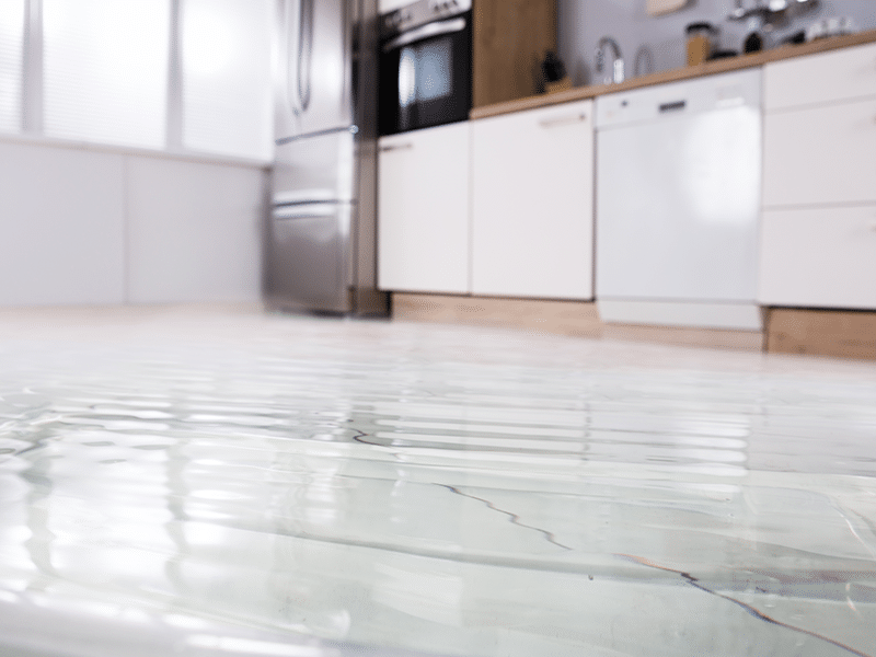 best flood restoration company in Denver photo