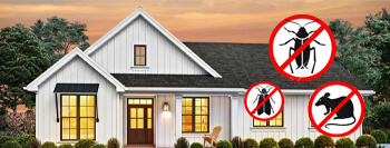 bee removal %AREA%