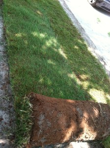 land clearing and bobcat work Atlanta photo