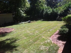 land clearing and bobcat work Atlanta photo