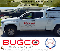 flea treatment in Sugar Land photo