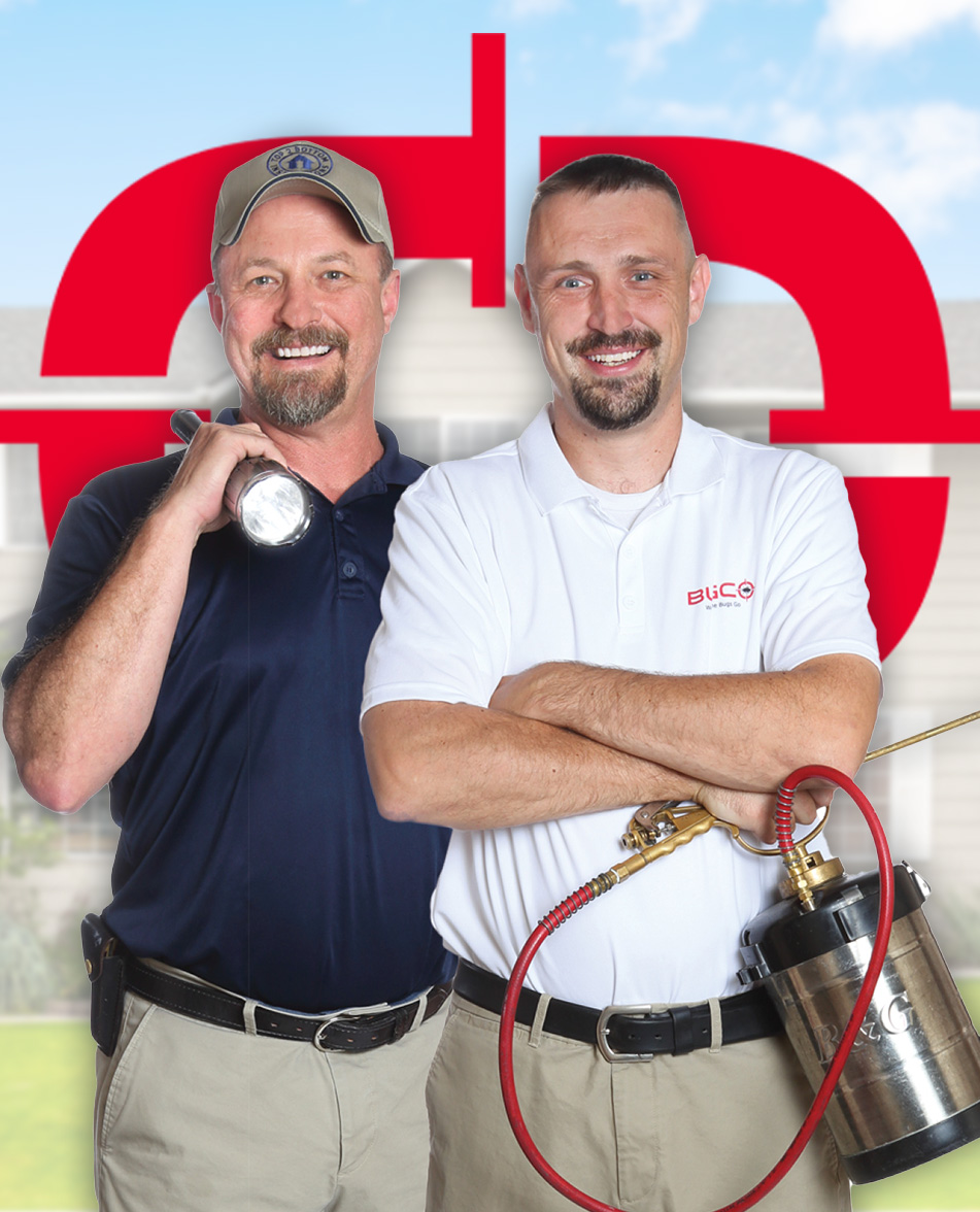 flea treatment in Sugar Land photo