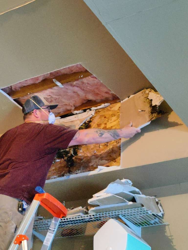 residential mold treatment Boulder photo